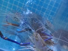 -古尚锦酒楼·水上餐厅