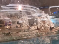 -帝企鹅自助餐厅•儿童岛•真企鹅(长隆企鹅酒店)