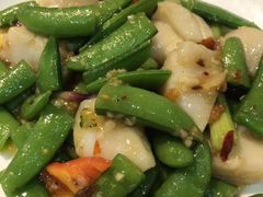 -糖朝(尖沙咀店)