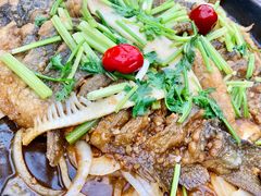 -老板恋上鱼(恒隆广场店)