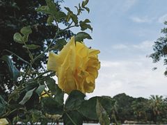 -人民公园(罗湖区)