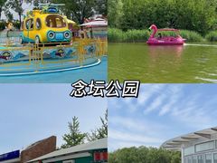 -大兴滨河森林公园