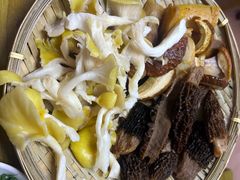 -菌极鲜野生菌火锅店(阳明祠店)
