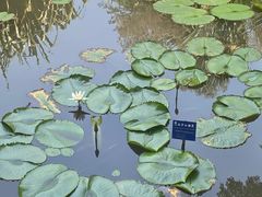 -中国科学院西双版纳热带植物园