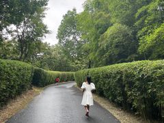 -天目湖涵田度假村