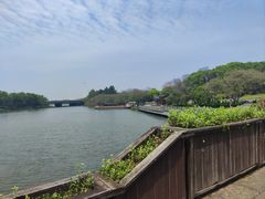-绍兴镜湖国家城市湿地公园