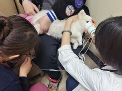 -美联众合动物医院·24h转诊中心