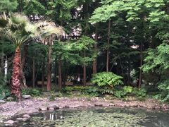 -苏州河梦清园环保主题公园