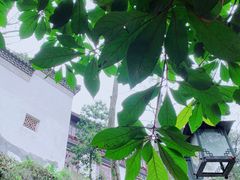 -灵顺寺