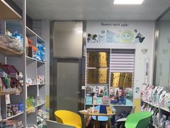 -东方动物医院·宠保定点·骨科·转诊中心(春城路·昆明站分院)