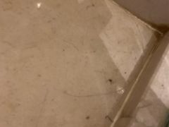 -青岛富力艾美酒店