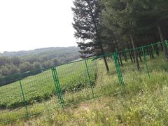 -塞罕坝国家级自然保护区