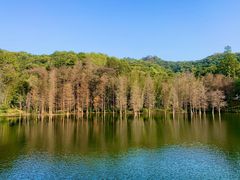 -广州市白云山风景名胜区