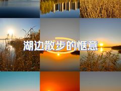 -丁香湖公园