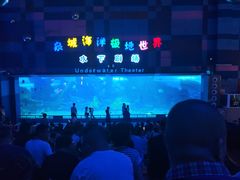 -泉城欧乐堡海洋极地世界