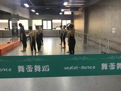-舞蕾舞蹈(特长生校区)