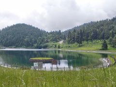 -武陵山森林公园