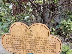 -北京呀路古热带植物园
