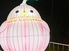 -武汉园博园(武汉自然博物馆)