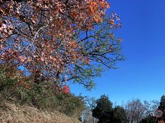 -鬼笑石后山停车场