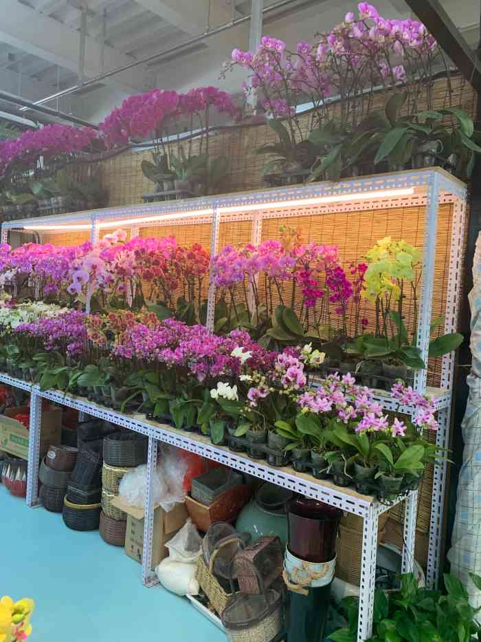 蟹岛国际花卉-"这个季节的蟹岛人比较少,主要去是烧烤,设.