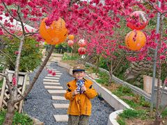 -桃源山庄·水蜜桃采摘·柴火鸡·烧烤团建(龙泉山店)