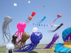 -潍坊滨海云门国际风筝放飞场