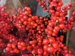 -三圣花乡旅游区