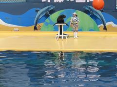 -秦皇岛乐岛海洋王国