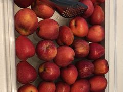 -圣福琚川味火锅(金伦花园店)