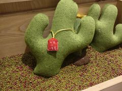 餐具摆设-炖物24章·顺时轻养茶(杭州保利时光里店)