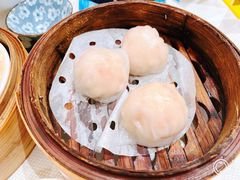 -新雅粤菜馆(南京东路店)