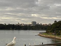 -悉尼歌剧院