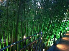 景观位-北国之春国宴(乌兰察布店)