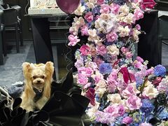 -悦庭六号餐厅(麦岛店)