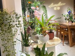 -花神·轻食简餐·咖啡馆·花卉绿植(荷兰花卉小镇店)