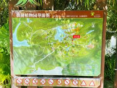 -深圳仙湖植物园