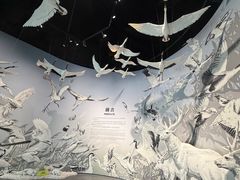 -中国湿地博物馆