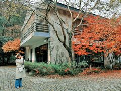 -西湖风景区-江洋畈生态公园