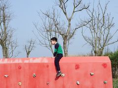 -春花秋色城市公园