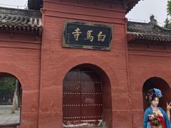 -洛阳白马寺