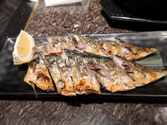 -正苑26年海鲜烤肉•牛尾汤汤饭(东港店)
