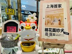 -momokira米努特·德文卷毛猫·棉花面纱犬