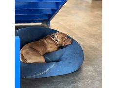 -HALO SOUL COFFEE·咖啡·甜品·简餐(嘉年华海信广场店)