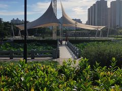 -文华公园(禅城区)