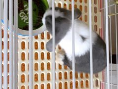 -龙猫仔乐园(惠福东路店)