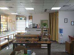-LOGO眼镜·蔡司品牌折扣店(龙华清湖店)