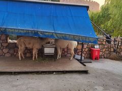 -金庭庄园酒店-停车场