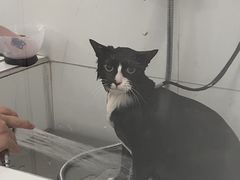 -comecome来吧宠物(奥克斯中心店)