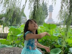 -廊坊市自然公园